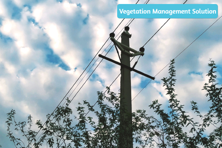 Vegetation Management Solution
